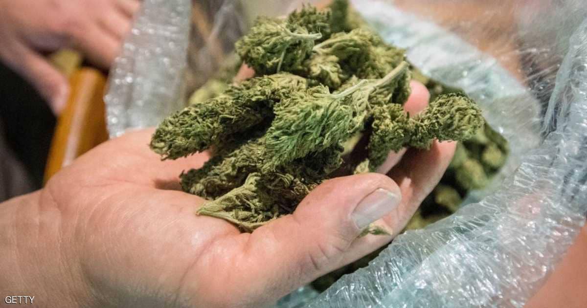 الانتخابات الأميركية.. 5 ولايات تصوت لصالح تشريع الماريوانا