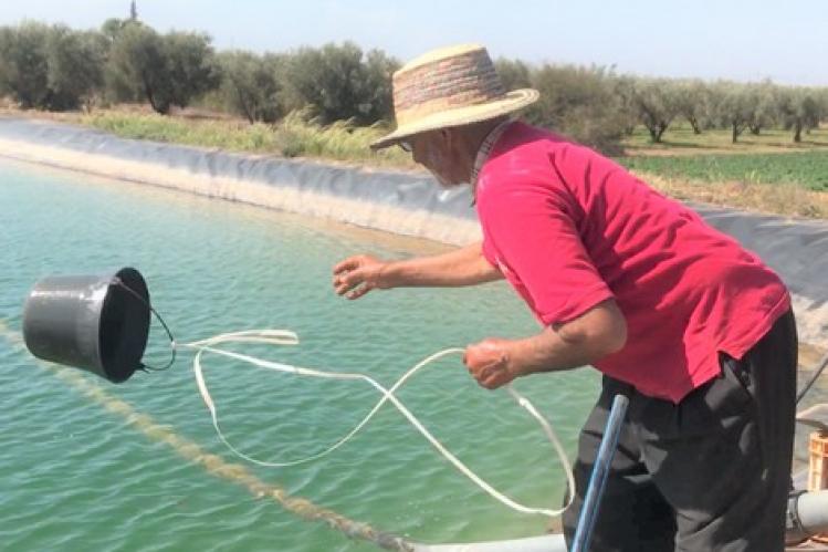 تدابير عديدة تواكب الفلاحة بجهة بني ملال خنيفرة