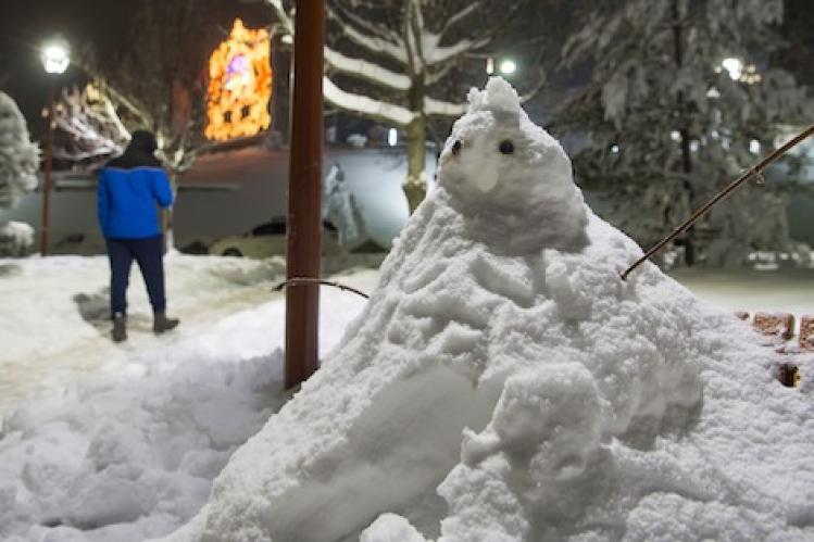 تساقطات ثلجية وزخات رعدية قوية في عدّة أقاليم