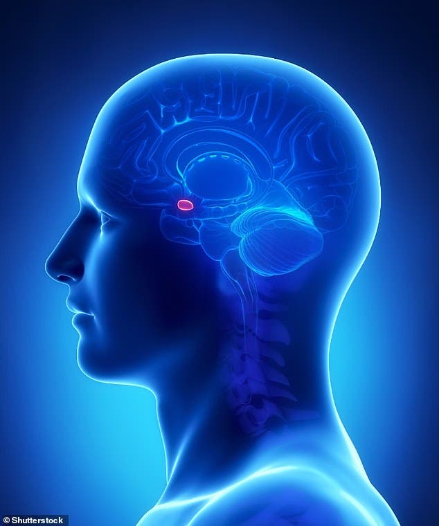 توتر الحمل يؤثر على دماغ الطفل ويعرضه لمشاكل عاطفية