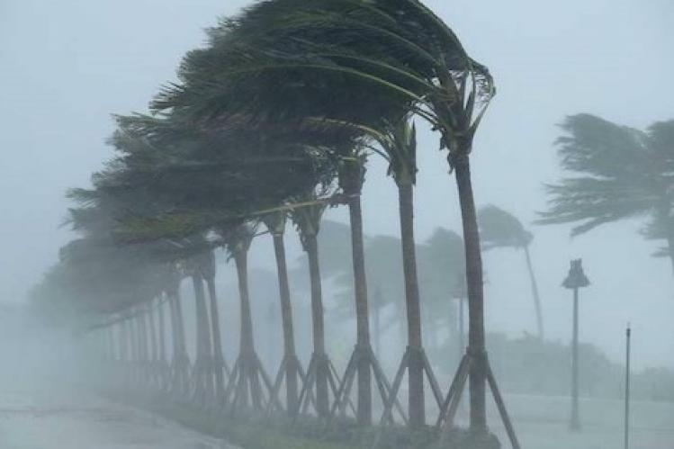 رياح قوية تداهم عددا من المناطق في المملكة