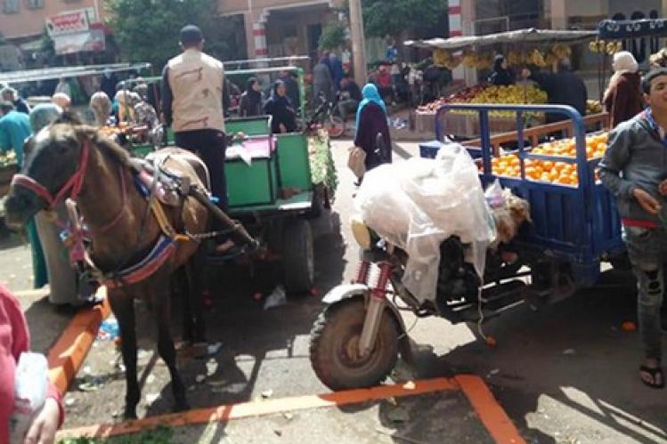 عربات مجرورة تخرق تدابير كورونا بالدار البيضاء