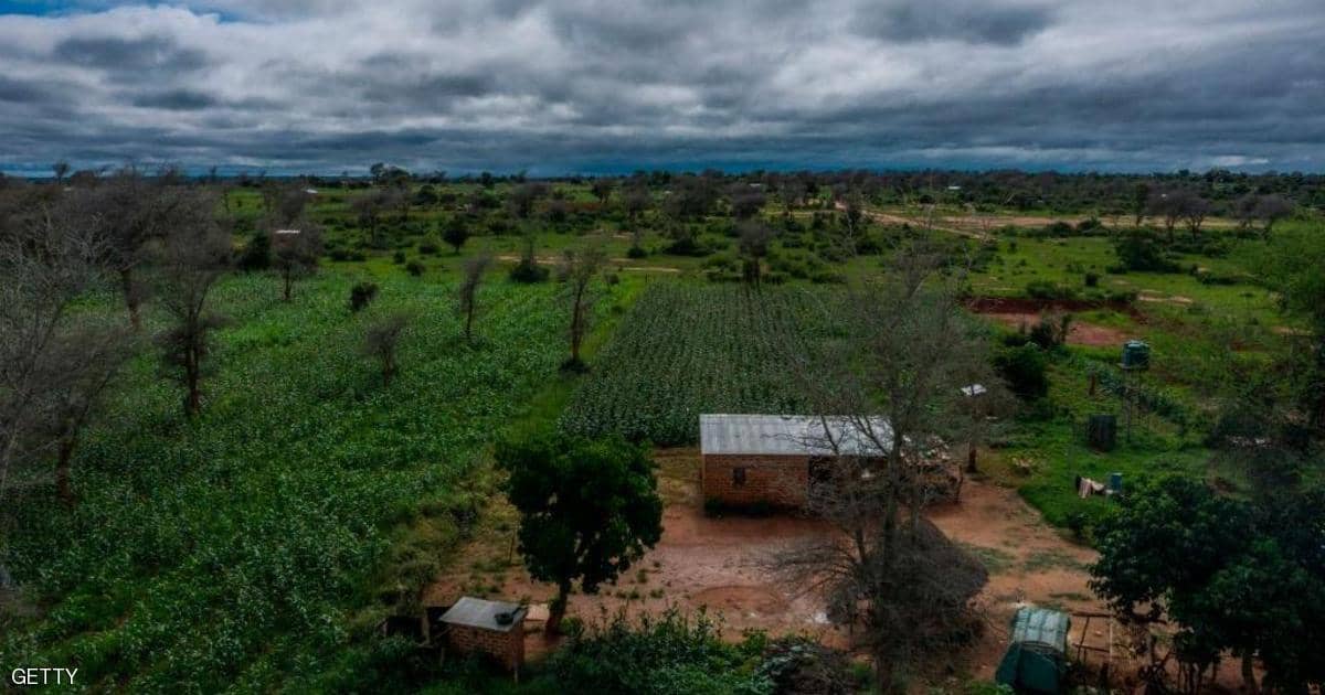 مزرعة مصرية تدرب آلاف الزامبيين أساليب الإنتاج