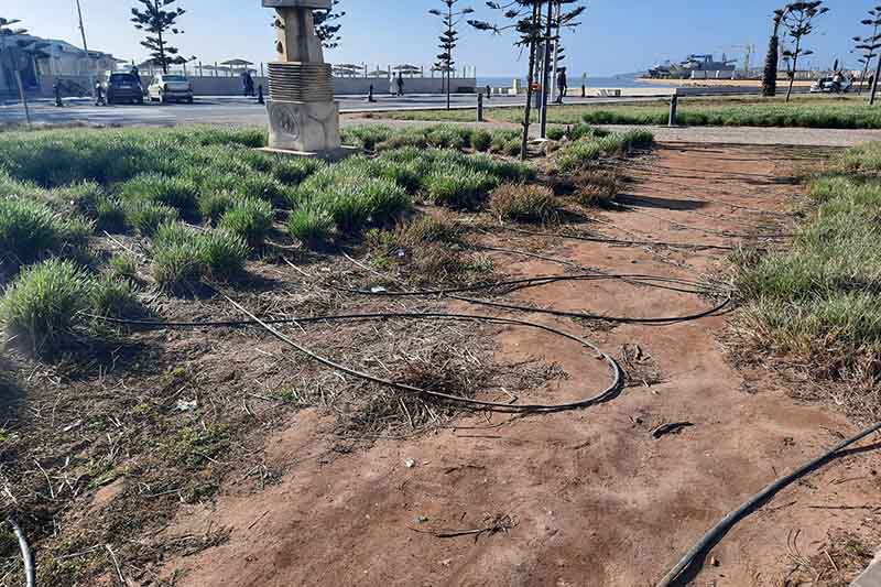 أحياء الصويرة تشكو سوء توزيع المساحات الخضراء