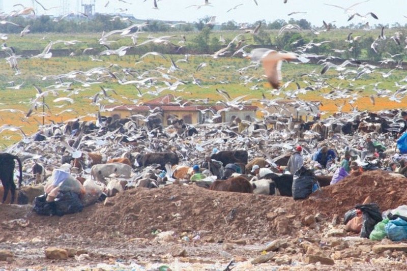 الجديدة تبحث عن مطرح للسيطرة على نفايات المدينة