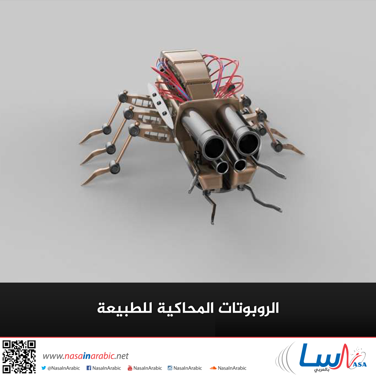 الروبوتات المحاكية للطبيعة