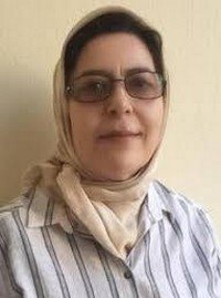 المجتمع المدني وأدوات النفي