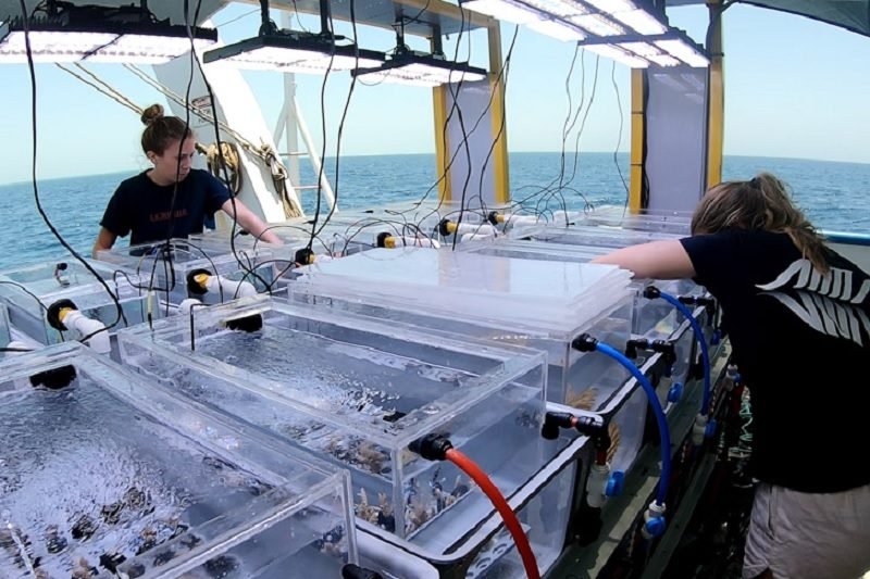 المغرب يقترب من اقتناء سفينة للبحث العلمي‎