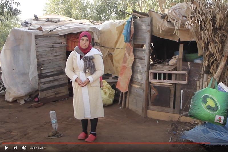 حياة أم عازبة في الغابة