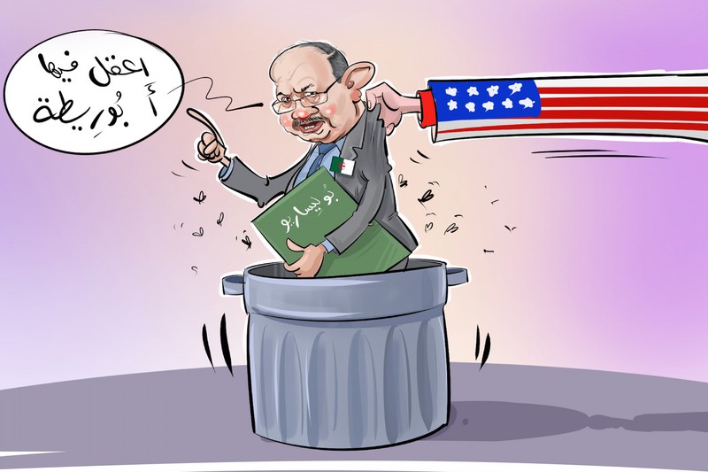 خبير مغربي: الجزائر تردد “أسطوانة مشروخة” منذ زمن الحرب الباردة