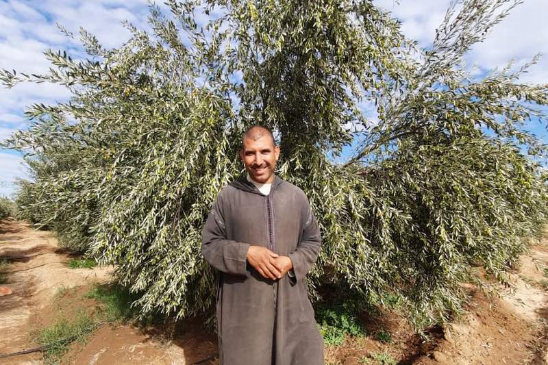 فلاح يحوّل منطقة “البور” القاحلة إلى فضاء أخضر مثمر ناحية مراكش