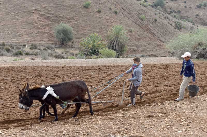 قرض بقيمة 250 مليون دولار يطوّر “الجيل الأخضر”