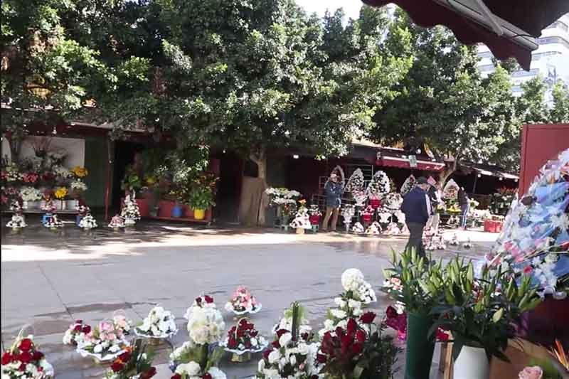 كساد تجارة الورود بالرباط