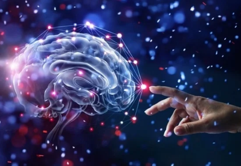 كيف تدمر المستويات المنخفضة من الأكسجين الدماغ؟