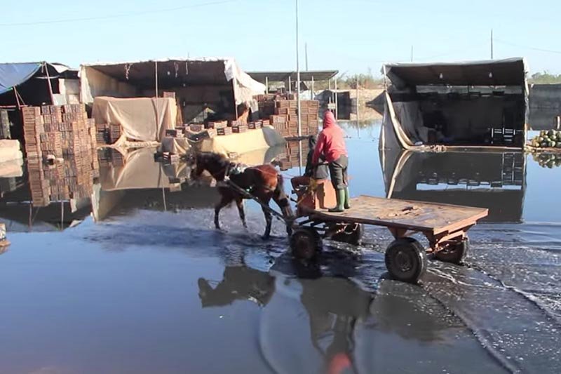 مياه عادمة تغرق سوق الجملة