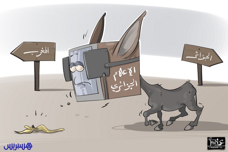 هل تتجه بوصلة النظام الجزائري صوب الحكمة بدل “السبّ والقذف”؟