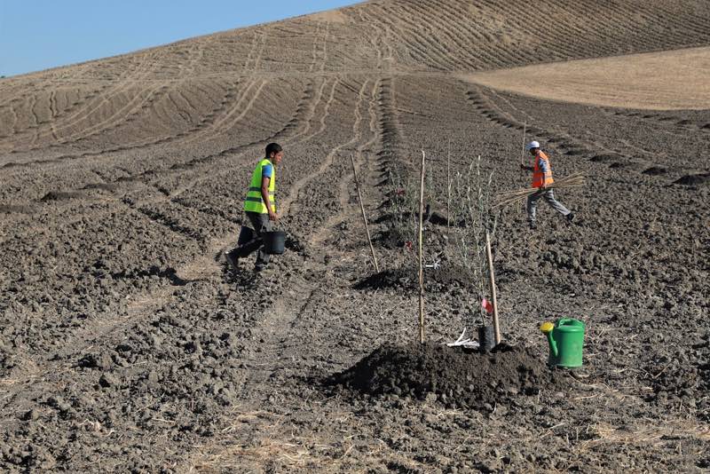 وزارة الفلاحة تقدم مؤشرات الموسم الجديد بالشرق‎