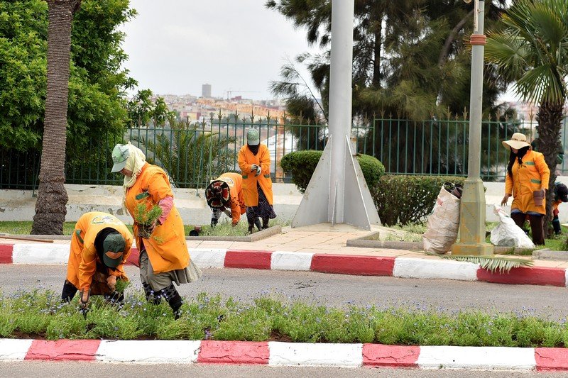 “الأداء الموسمي” يحرم عمال الإنعاش الوطني من ولوج الوظيفة العمومية