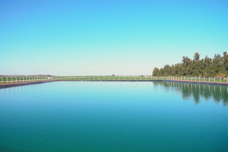 الأمطار تنعش زراعة الشمندر وتبهج الفلاحين في جهة بني ملال خنيفرة