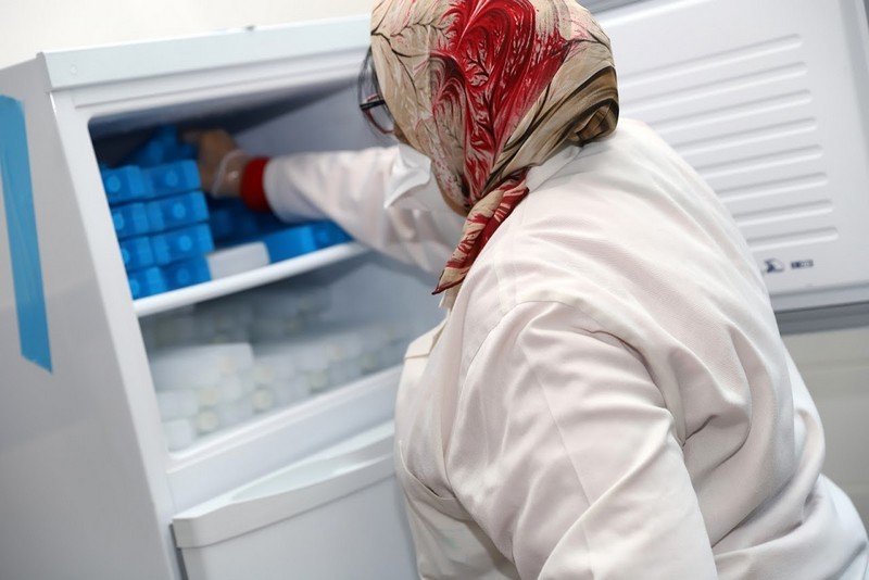 المغرب يسجل 801 إصابة و17 وفاة جديدة بـ”كورونا” في 24 ساعة