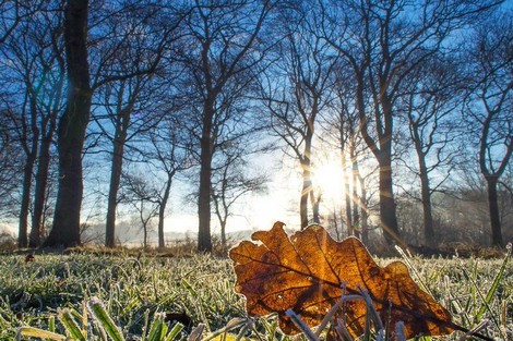 توقعات أحوال الطقس لليوم الإثنين