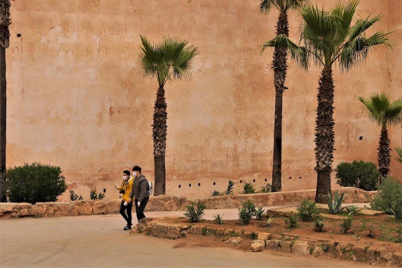 جهة طنجة تتصدر إصابات “كورونا” خلال يوم .. ومعدل التعافي يرتفع