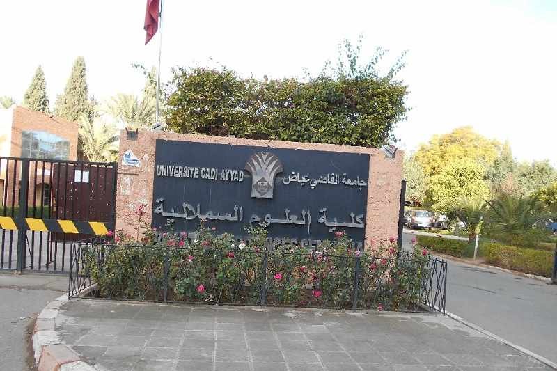 خليل الزنبي .. مراكشي يفك شيفرة الرياضيات وينال جائزة علمية رفيعة 