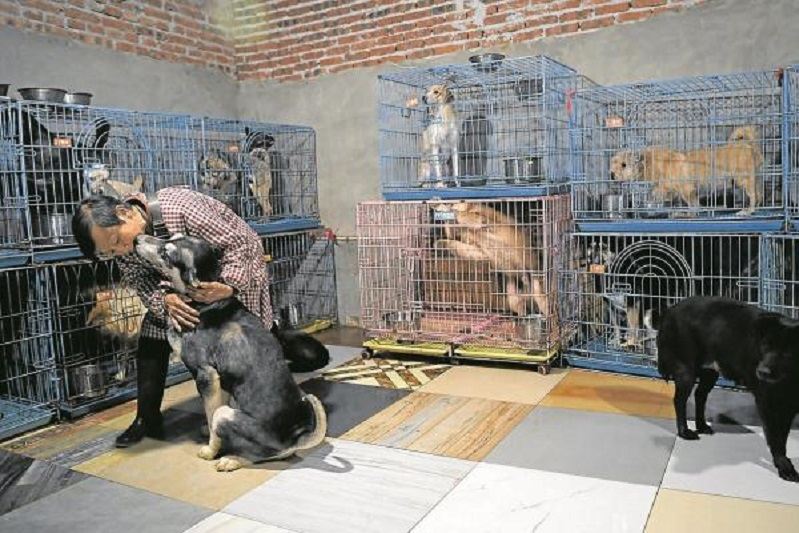 ستينية تشارك منزلها مع أزيد من ألف حيوان