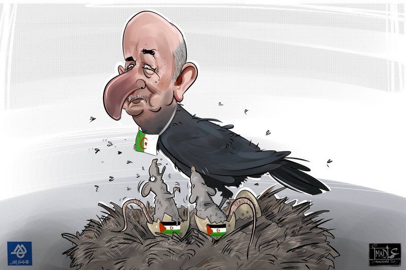 سفير المغرب في روسيا: جبهة البوليساريو “متحجّرة” .. والجزائر “متناقضة”