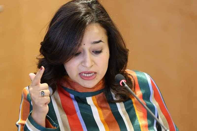 عزاوي تنتقد ازدواج المواقف بمعاشات المستشارين