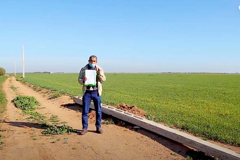 أسر في حاجة إلى الكهرباء