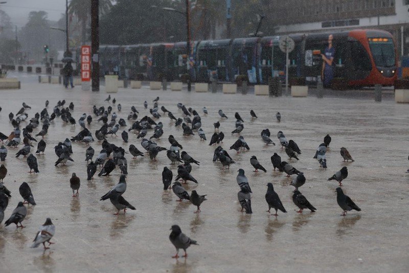 أمطار قوية وتساقطات ثلجية في مناطق بالمملكة