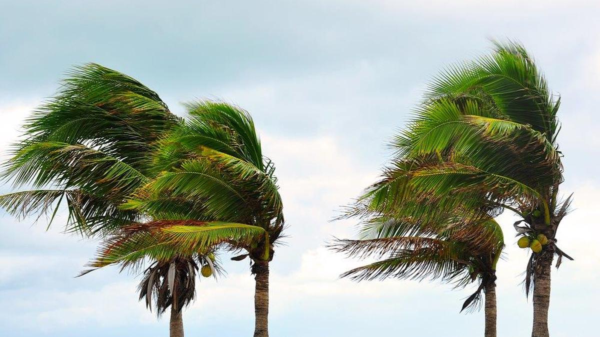 أمطار و رياح قوية مرتقبة بمختلف مناطق المغرب