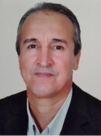 الحريات الفردية وسؤال المعنى