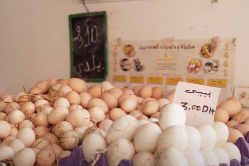 الزيادة في أسعار البيض