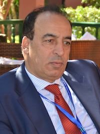 القوانين التنظيمية للانتخابات والنموذج التنموي