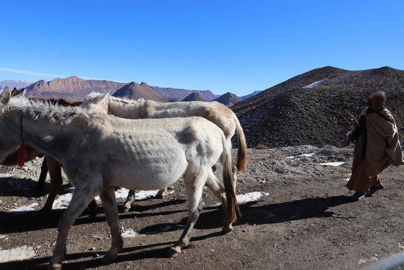 متضررون يتشبثون بتدخل السلطات لإبعاد الرحل عن أراضي جهة سوس