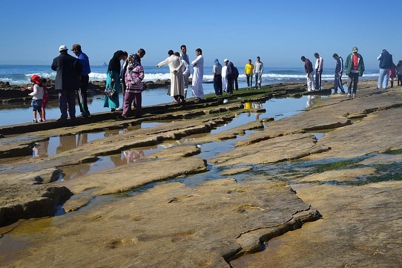 مجلس أكادير يصادق على “محمية آثار الديناصورات”
