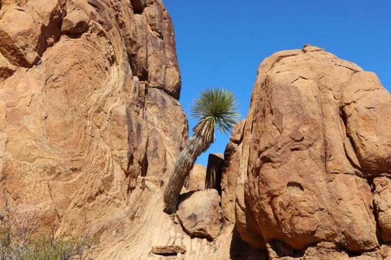 محمية “بيغ بيند” .. طبيعية صحراوية خلابة