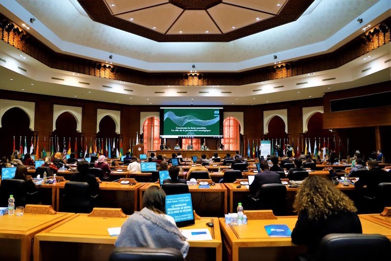 مراكش تحتضن المؤتمر الدولي الأول حول اللسانيات