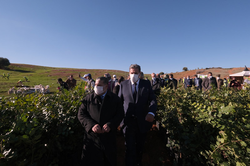 مشاريع فلاحية وغابوية تعزز التنمية بإقليم خنيفرة