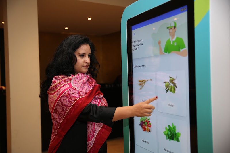 مكتب الفوسفاط يطلق منصة رقمية لتنمية الفلاحة