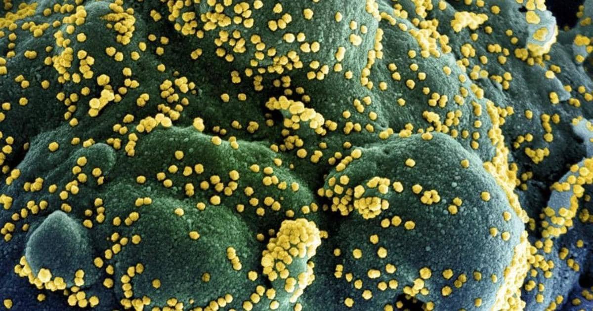 منشأ كورونا.. محور خلاف جديد بين واشنطن وبكين