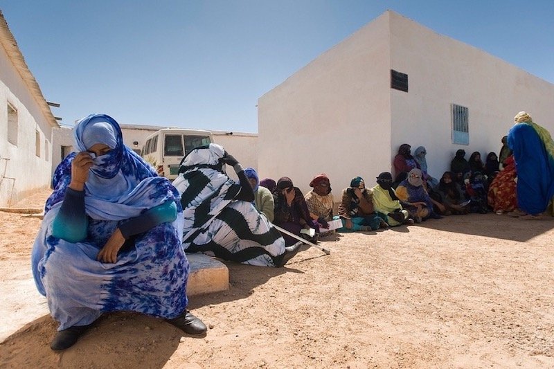 منظمة أمريكية تسائل “سناتورا” بشأن دعم الجبهة