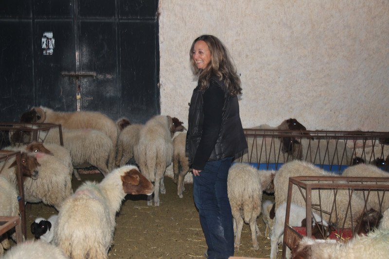 نهاد أزلماض .. طموحات امرأة مستثمرة تصطدم بواقع التعقيدات الإدارية