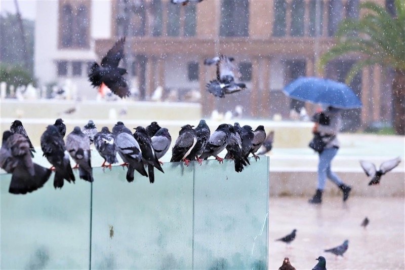 أمطار قوية رعدية ورياح شديدة في المملكة