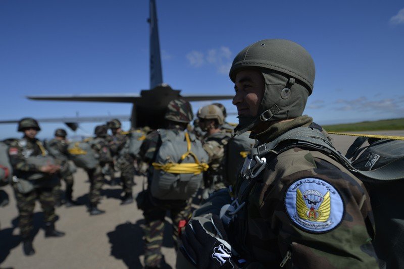 الأسد الإفريقي