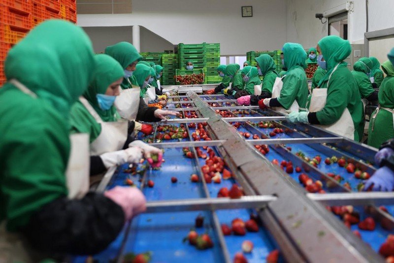 البنك الأوروبي يضاعف تمويلات المغرب في 2020