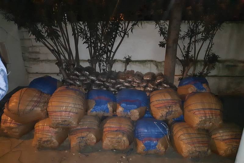 الجيش والدرك يعترضان مخدرات نواحي زاكورة