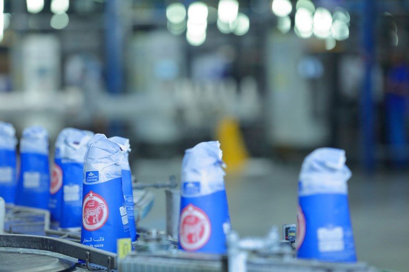 المنظومة الإيكولوجية تقلص البصمة الكربونية لقطاع السكر بالمغرب